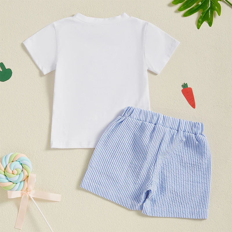 Boys Easter Outfit Summer Clothes Carrot Cart Short Sleeve T-Shirt Plaid Shorts Set Cute Toddler Baby Boy Easter Outfit 3