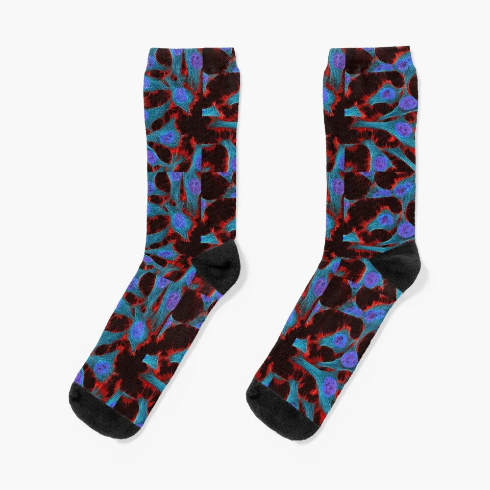 

HeLa cells from Henrietta Lacks Socks Rugby retro christmas gifts Socks Male Women's