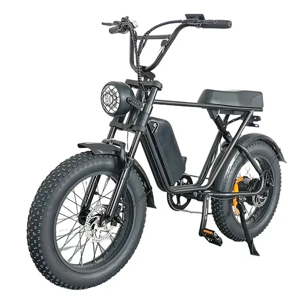 Ire 20 Pollici Bicicletta Elettrica 48V Bicicletta Elettrica Da Città Ebike Bici Elettrica A Doppia Batteria
