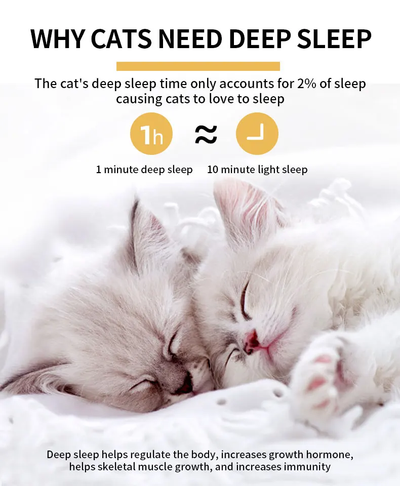 S04e12e1c0e0640588aa69c4537debc32l