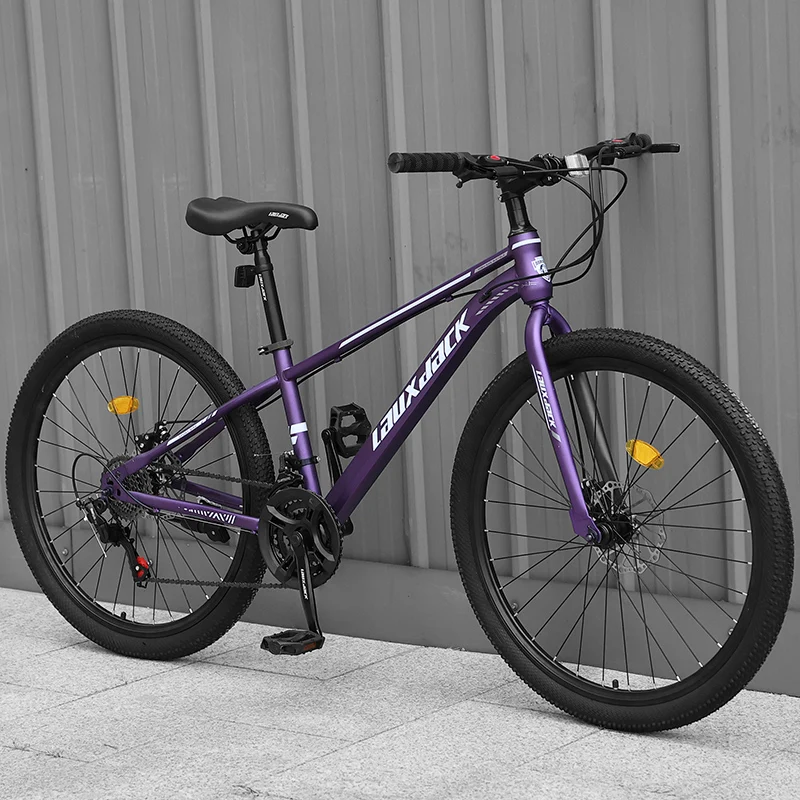 24/26/27.5 Pollici Mountain Racing Bike Studente Freno A Disco Mountain Bike Mountain City Bicicletta Commuter Bike Mtb