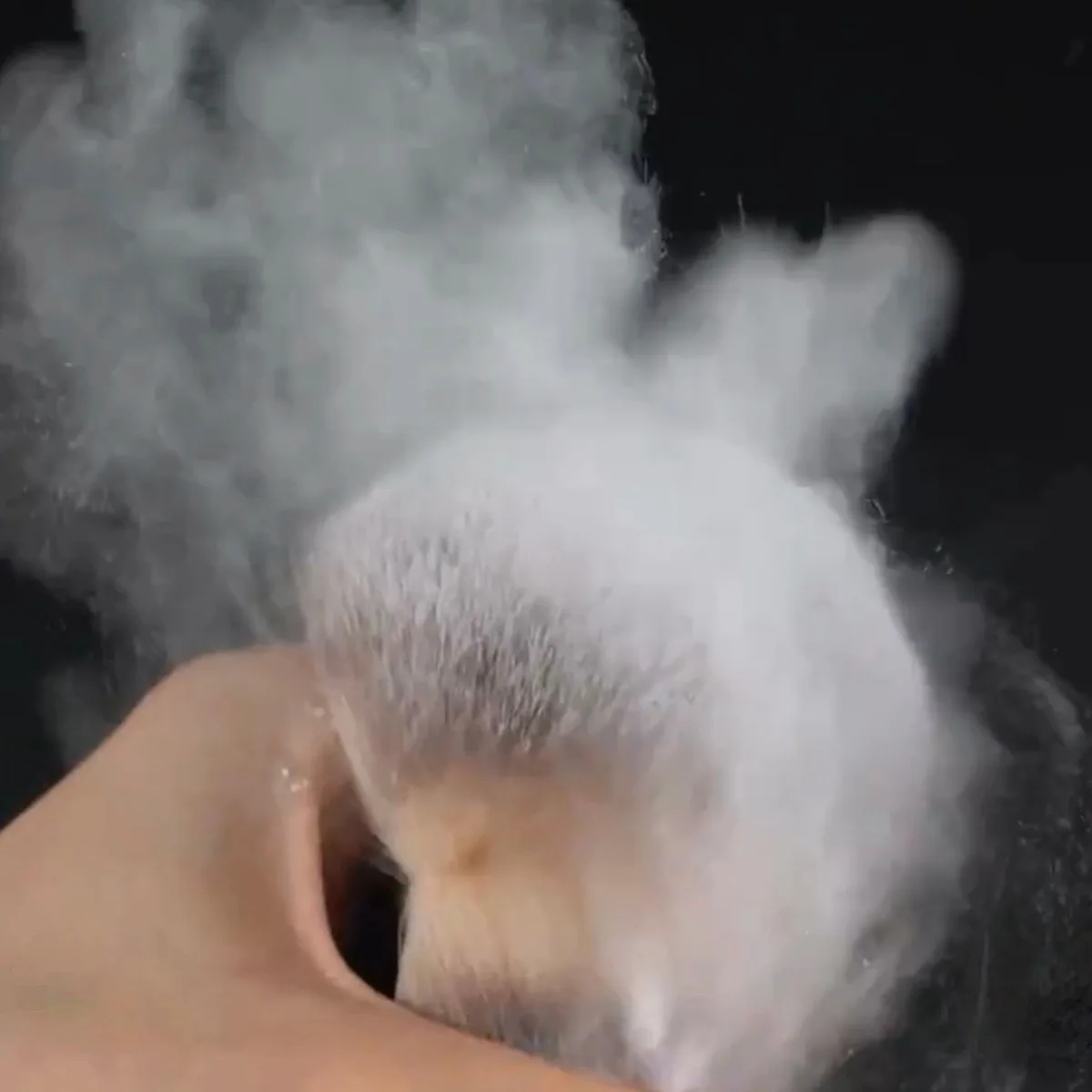 Description Picture 5 of itemLarge Portable Mushroom Shaped Powder Brush Makeup Brush For Dusting On Loose Powder Compact Powder Brush Beauty Health