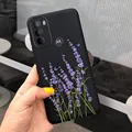 Case-c37
