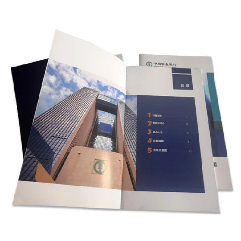 

Custom China professional book printer custom full color children education coloring book hardcover story book printing