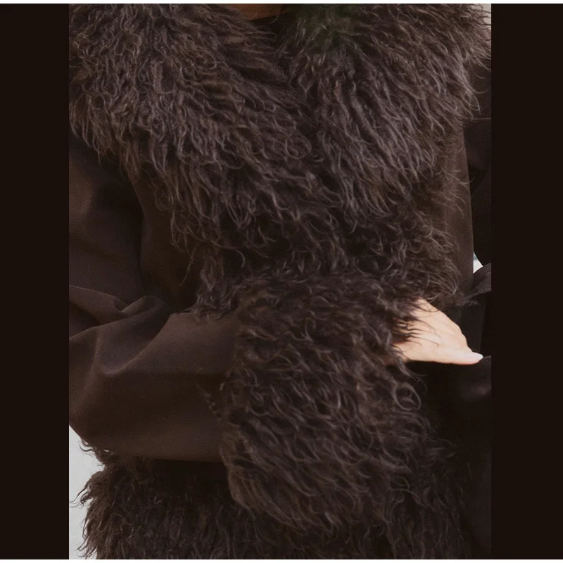 Plüsch Faux Pelze frauen Mäntel Elegante Pelz Revers Volle Hülse Verdicken Mantel Weibliche 2025, Herbst Winter Mode Warme dame Streetwear – Detail 10