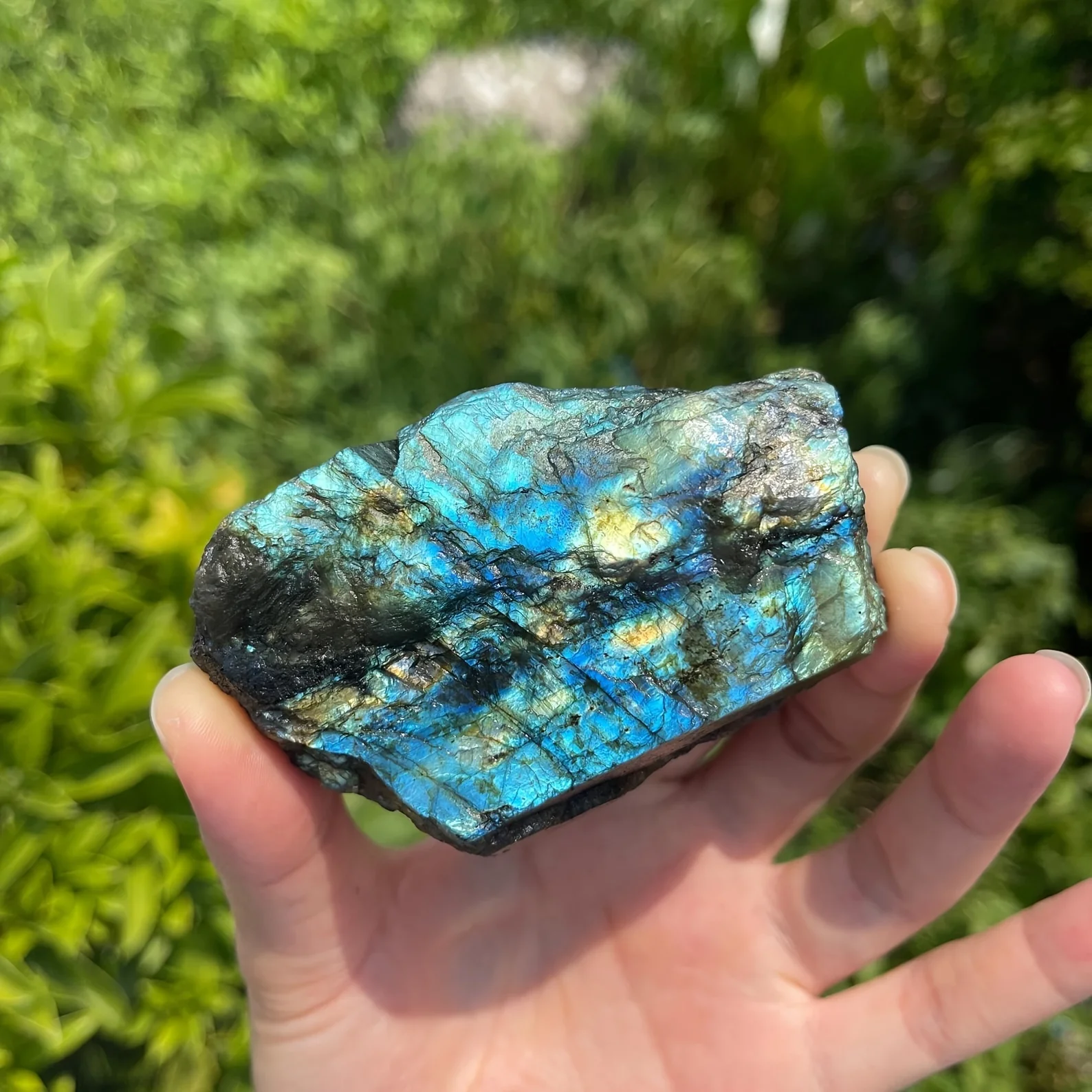 Wholesale Natural Labradorite Raw Stone
