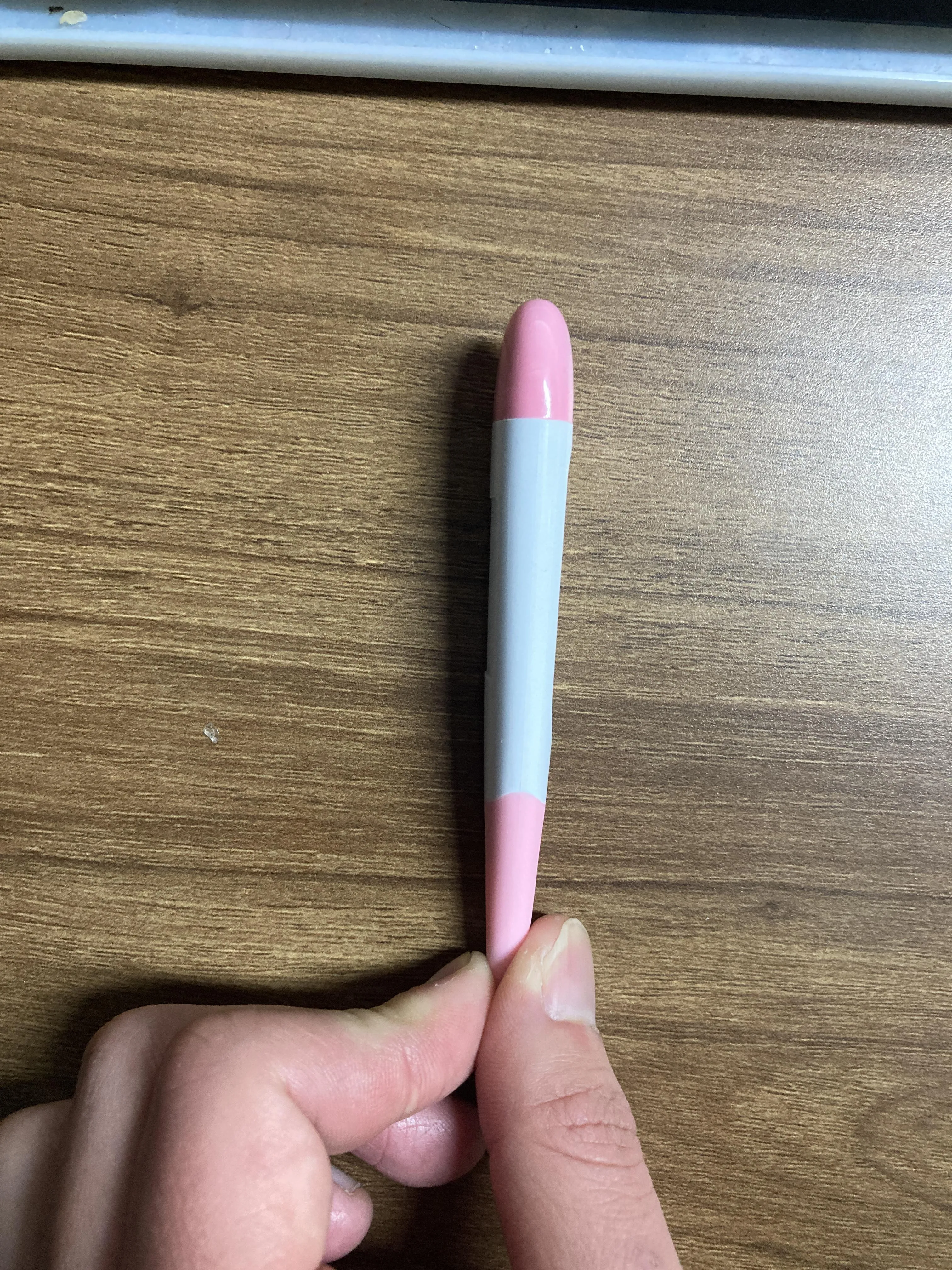 Animal Thermometer Portable Precision Clinical fever temperature for pet Medical electronics TPR silicone Waterproof Probe veterinary accessories