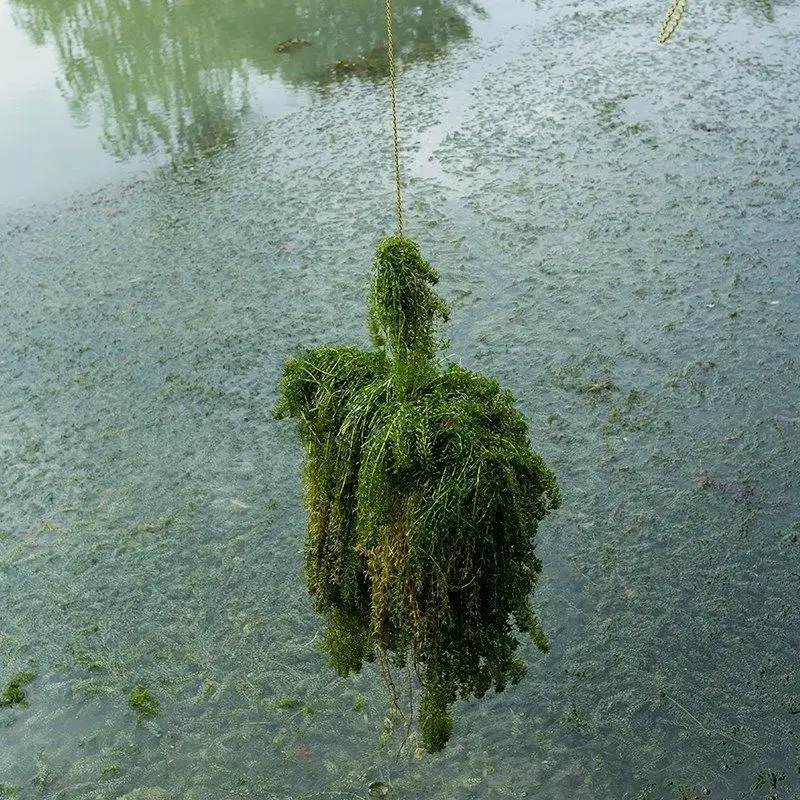 Slide image eac51f6f25e24bb895aeda63cc708a3e