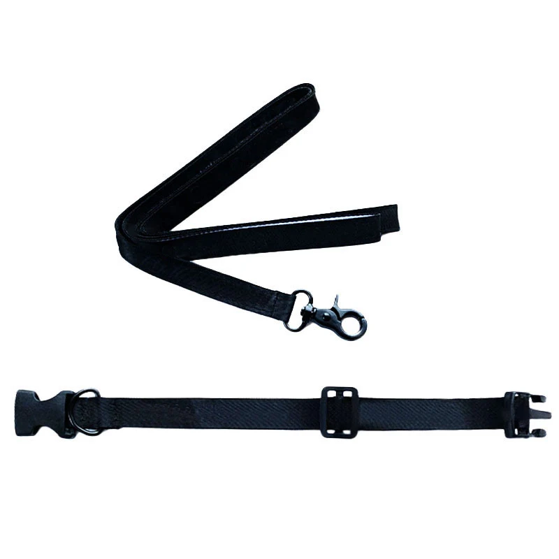 

Комплект из ошейника и поводка для чихуахуа