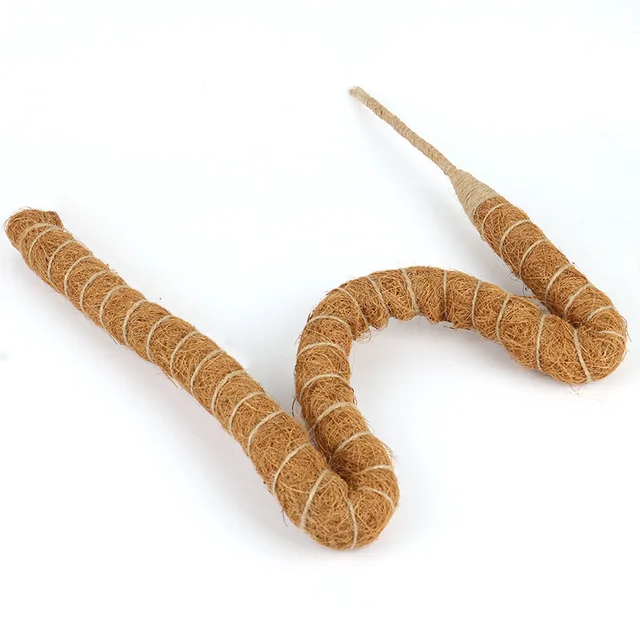 Növénymászó Rúd Mászó Szőlő Kókuszdió Pálma Meghajolható És Alakú Barkácsolás Mosting Moss Rod Palped Bota - Image 6