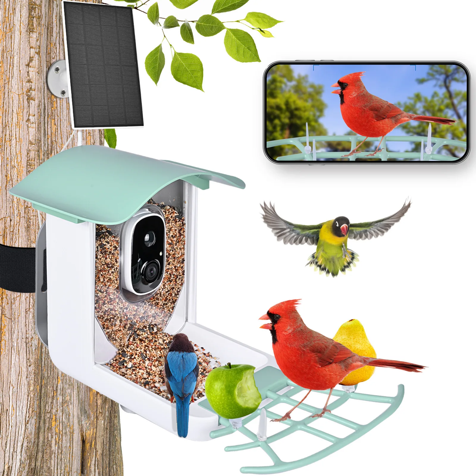 

Smart Bird Feeder Camera With Solar Pannel High Resolution Pir Motion Detection Ai Intelligent Recognition Birds Species