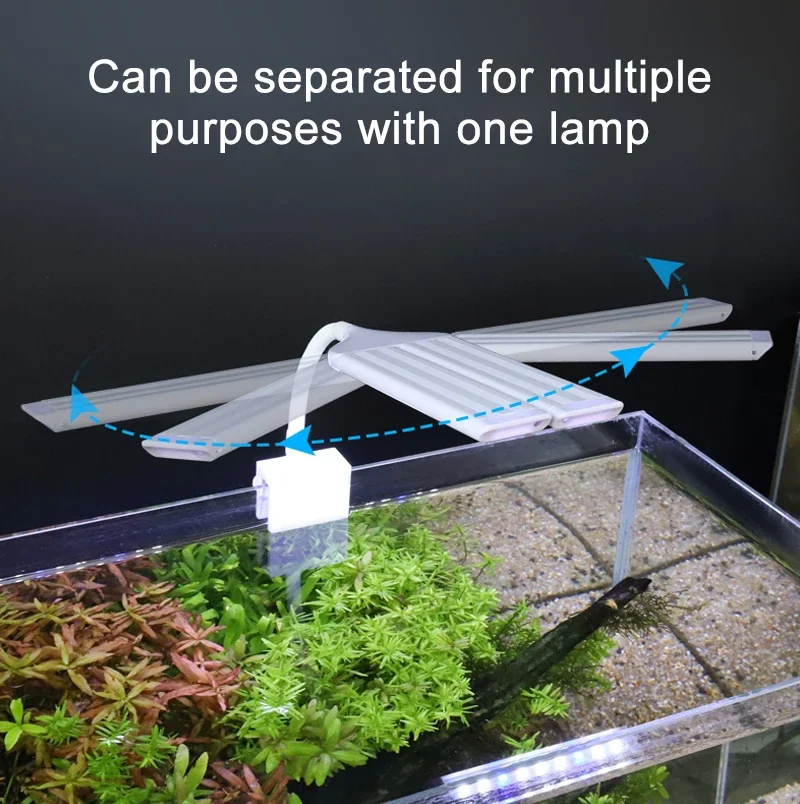 Light in Use