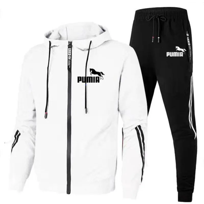2024Mens Design Tracksuit Autumn Winter Hooded Coat and Long Sweatpants 2 Pcs Sets Casual Sports Hoodies Jogging Suit