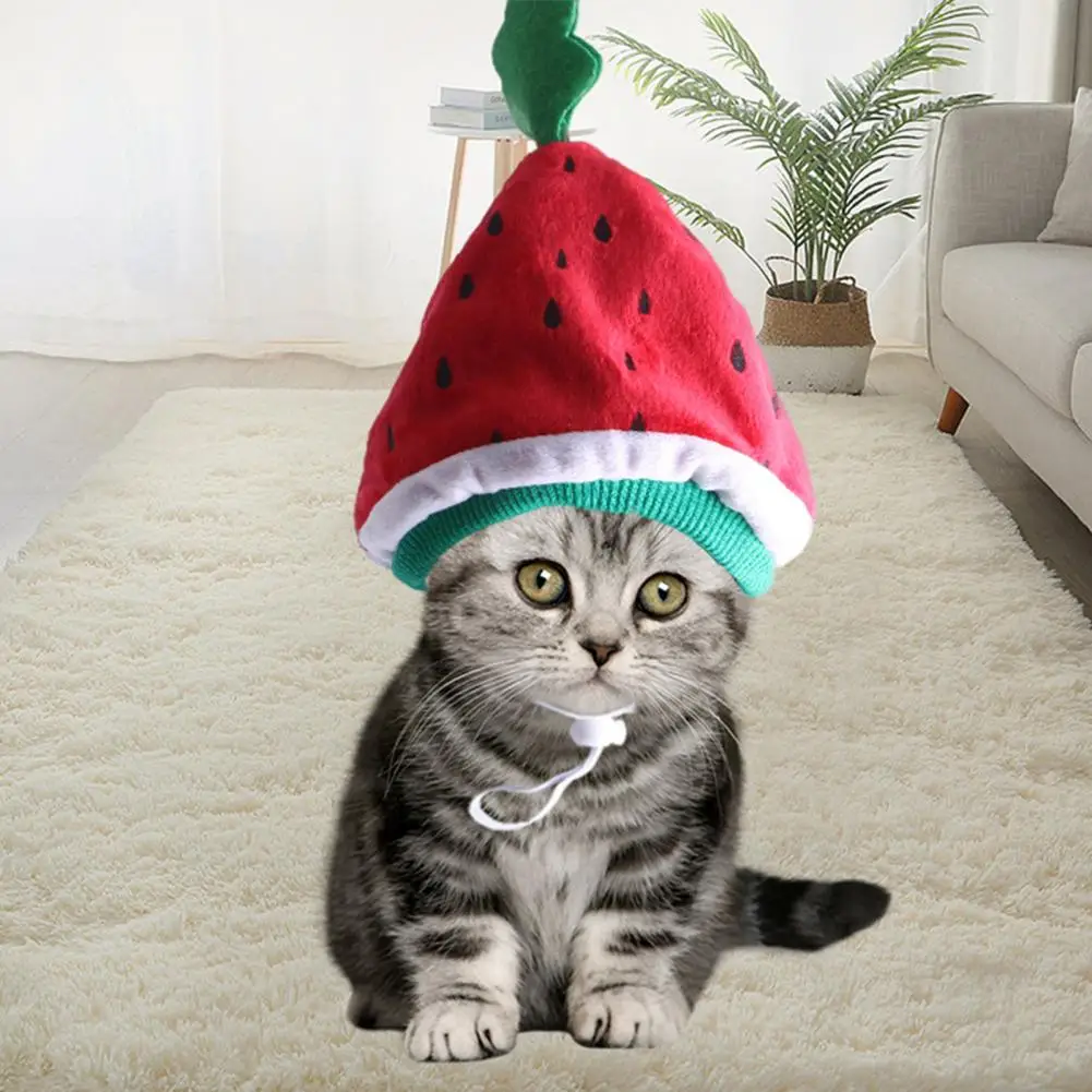 

Pet Hat Cute Fun Watermelon Shaped Cat Hat Stylish Comfortable Pet Headgear Party Photos Pet Accessory