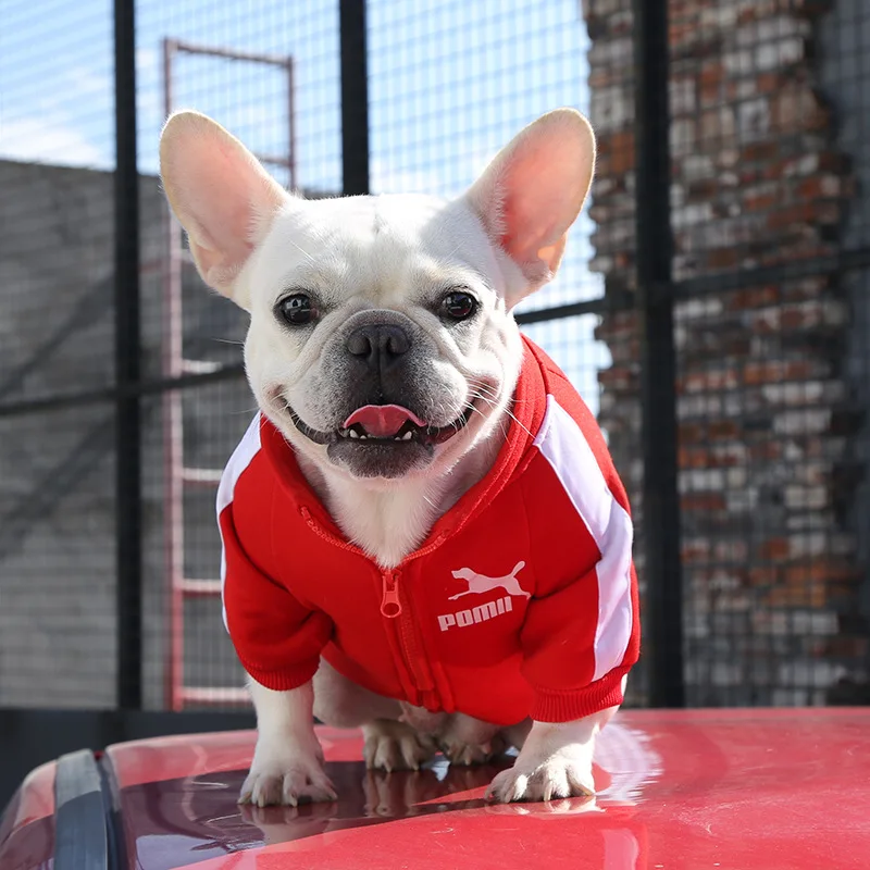 Adidas Dog Clothes Adidog Sweatshirt Winter Dog Hoodie Sweatshirts