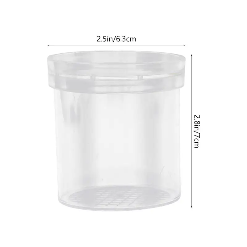 6Pcs Transparent Insect Observation Cup