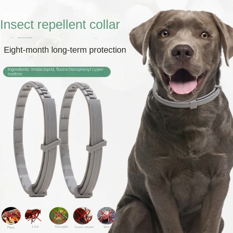 Flea Tick Alternatives Dogs Flea Tick Collar Small Dogs Flea Tick