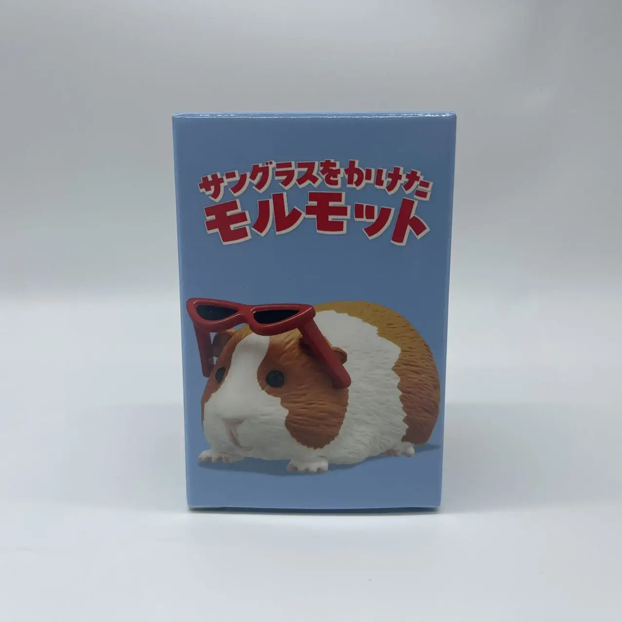 גיני פיג עם תיבת עיוורים למשקפי שמש דמות פעולה מיני חמודה מודל צעצועים קאוואי קישוט שולחן אוסף מתנות ליום ההולדת