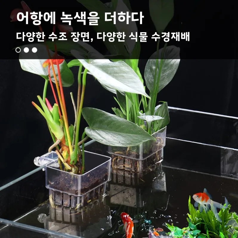 수중식물 수초식물 수초 컵 수중식물 수초식물 수초 컵 수초 배양 컵 수초 배양 컵 수초 컵 수초 배양 컵 수초 컵