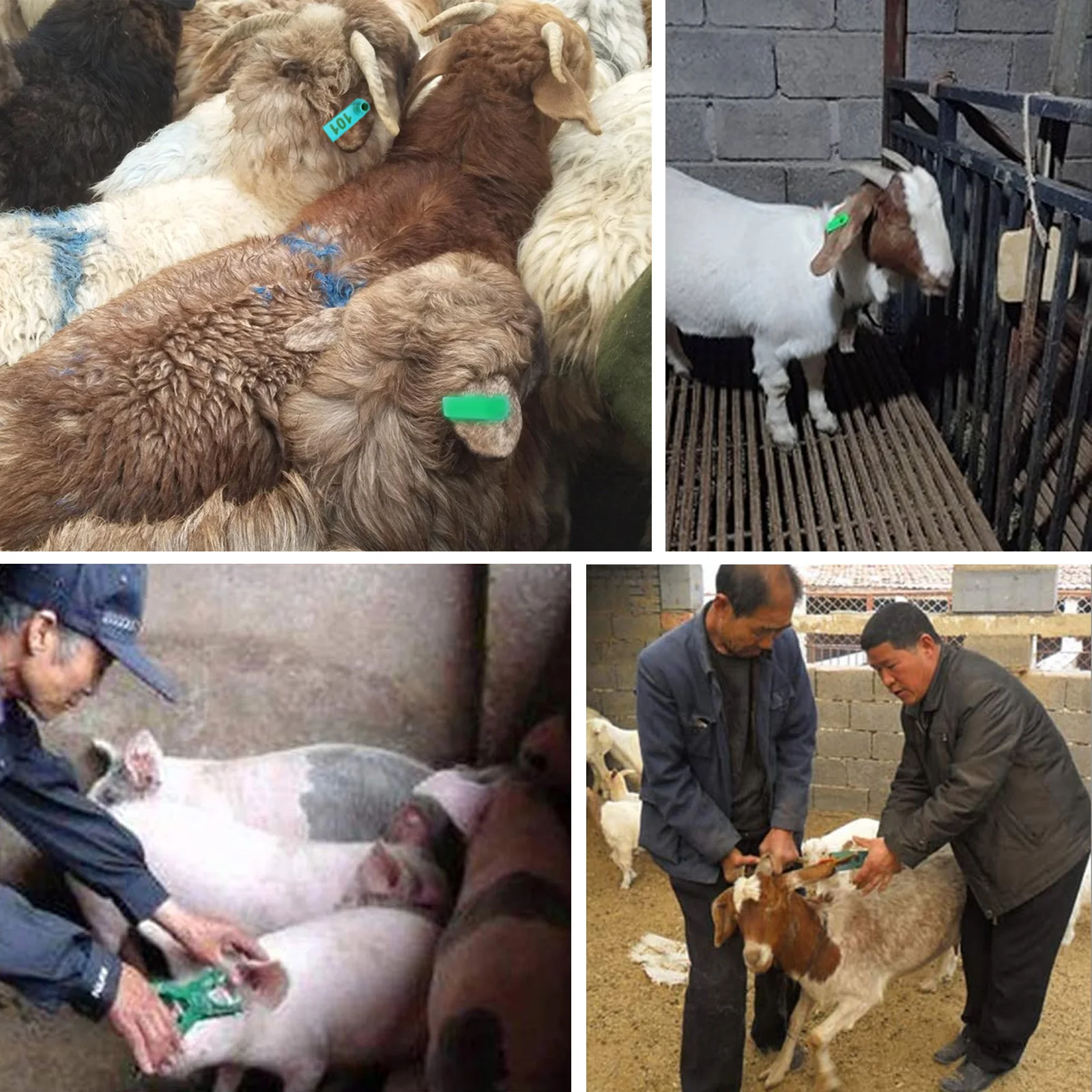 Livestock Ear Tag Applicator 6
