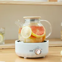 220V 1L Electric Health Preserving Pot Glass Water Boiling Kettle Teapot Fruit Tea Dessert Cooking Pot Multi Cooker 1