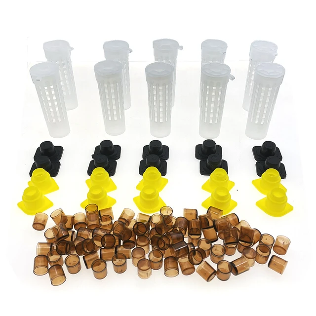 1Set Apikulture Kit Queen Tenyésztés 10Db Védelmi Ketrec Sapkát És 120Db Barna Cellás Lárvát Protect Cover Méhészet Farm Készletek