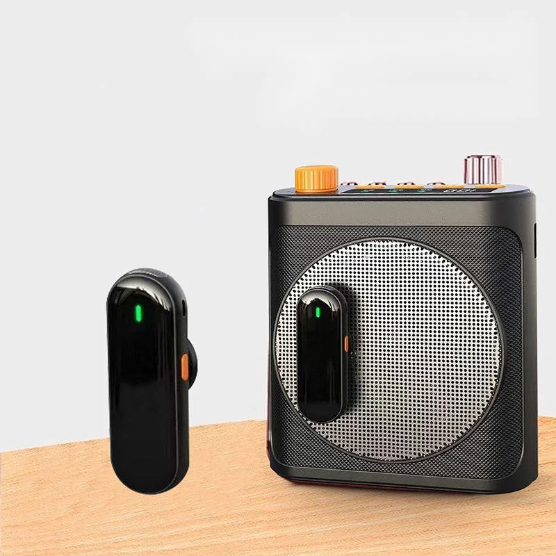 Shell sleeping insect new wireless bee collar clip microphone portable teacher specific lecture with Bluetooth amplifier_voghion.com