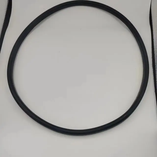 ANELLO PVC PROTEZIONE PER QUADRANTE - Sfigmomanometro Roma - Foto 7