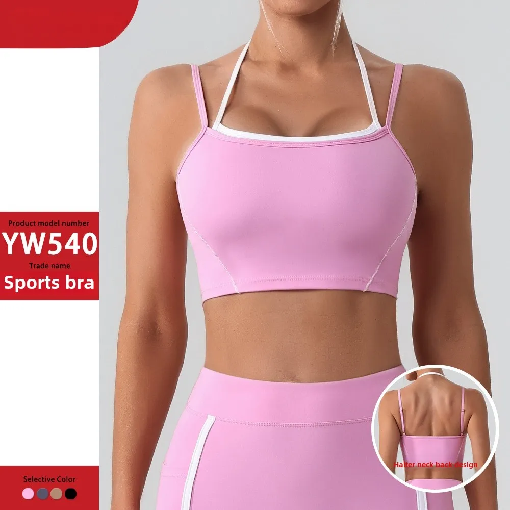 Dutch Redux No. 3 Pop Women's Sports Bra