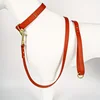 Dog Leash for Small Medium Large Dogs Walking,Easy to Use, Lightweight & Durable,Training Leash for Control Safety Training 3