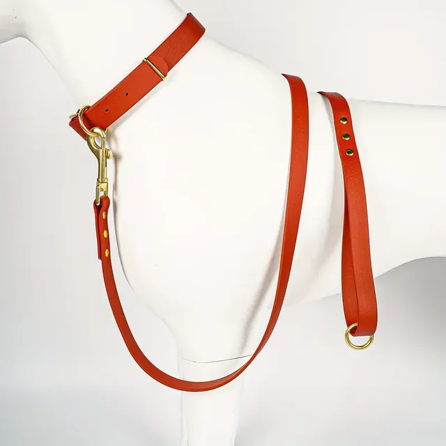 Dog Leash for Small Medium Large Dogs Walking,Easy to Use, Lightweight & Durable,Training Leash for Control Safety Training 3