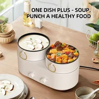 Kitchen Cooking Pot Double Multi Cooker Electric Boiling Pot Split Type Hot Pott Elektrisch 2