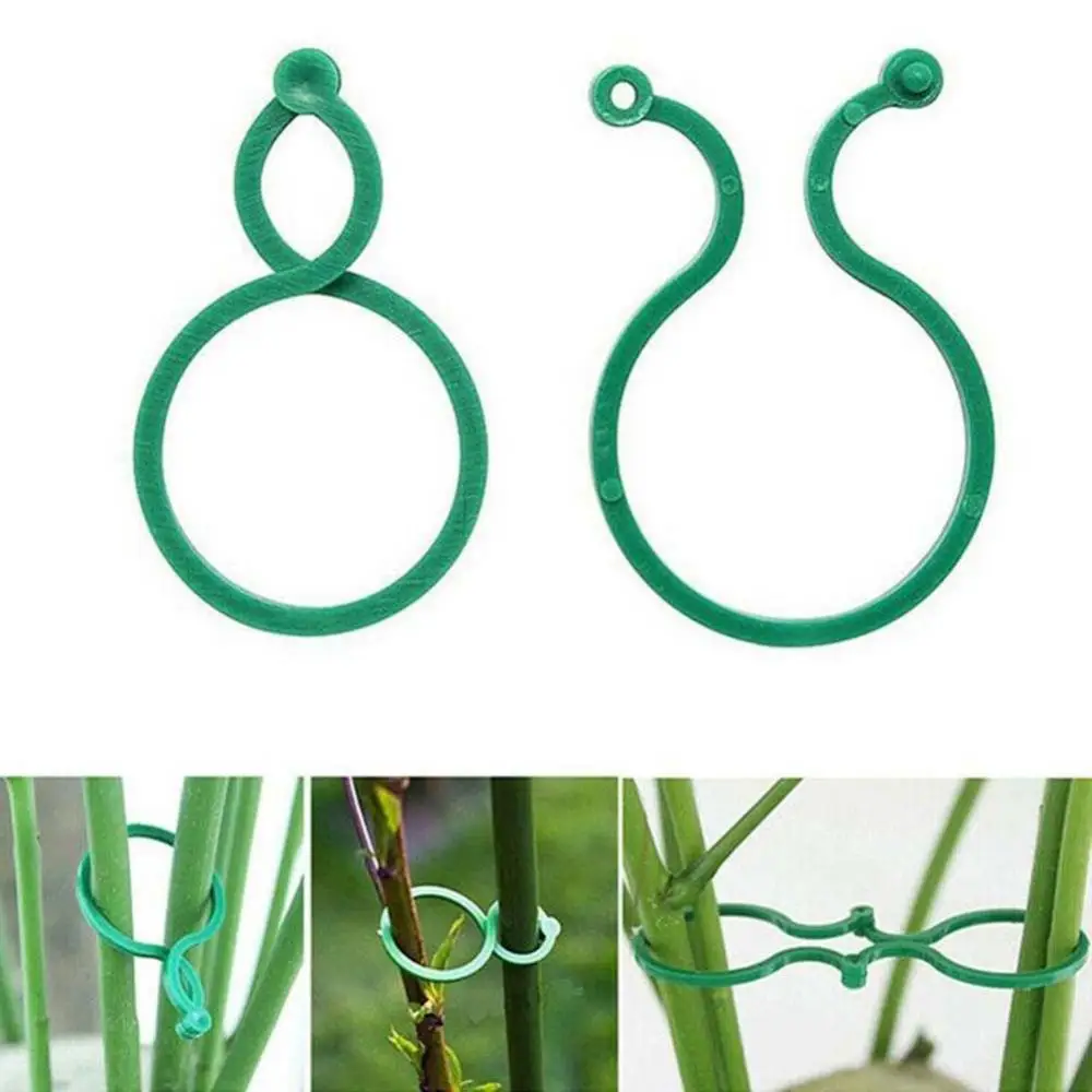 

50PCS Garden Buckle Garden Clip Vine Binding Clips Fixed Plant Wall Climbing Vine Clip Fruit Vegetable Garden Plant Bracket Tool