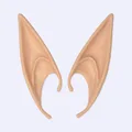 Long section