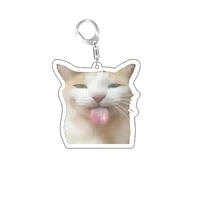 Funny Cat Memes Series Keychain Student Gift Bag Lanyard  Women's Bag Pendant Keychain Cute Things Cheap Gift For Best Friends 6