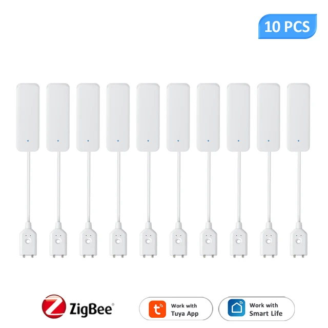 10Pcs