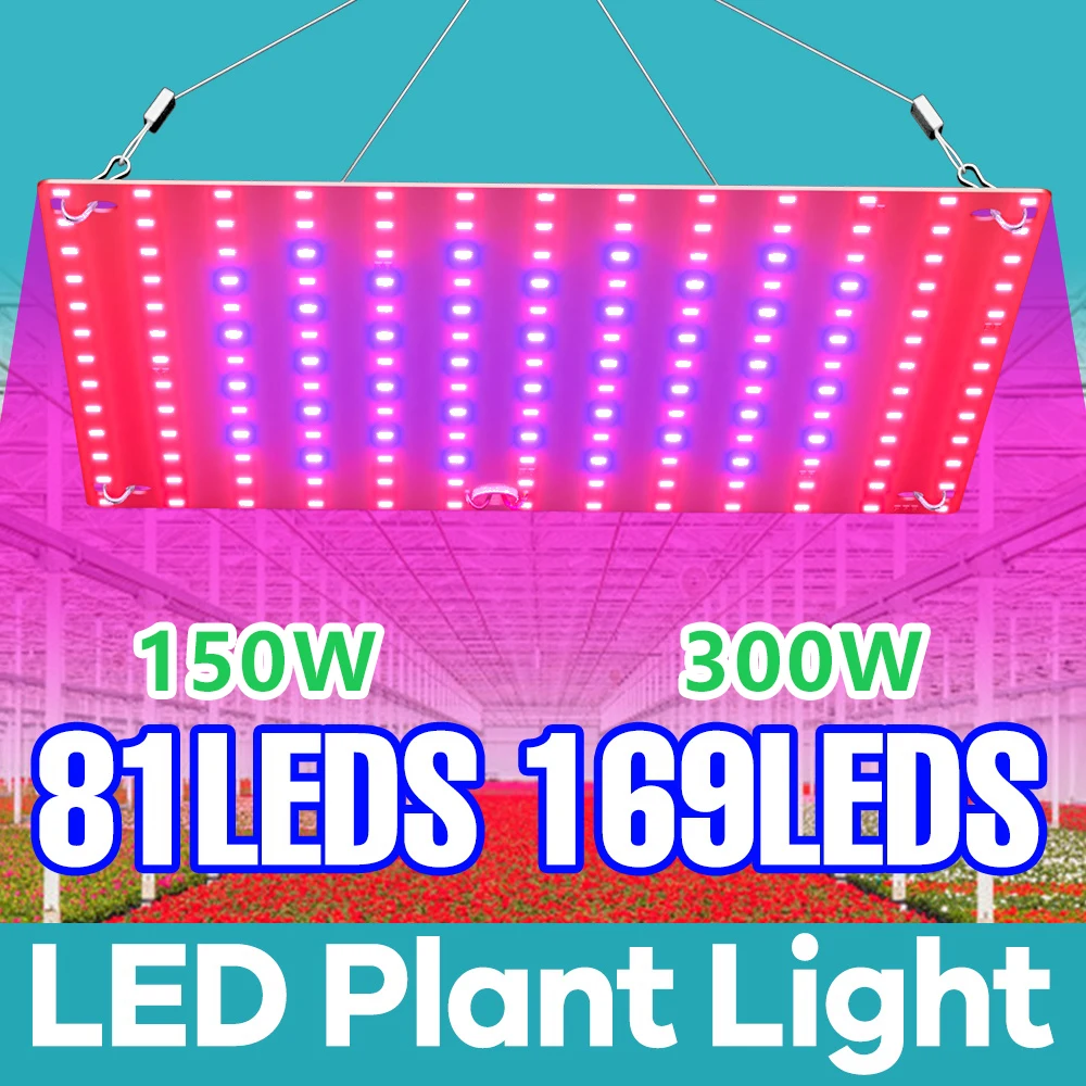 Enhanced Full Spectrum LED Plant Grow Light for Hydroponics and Greenhouse Cultivation