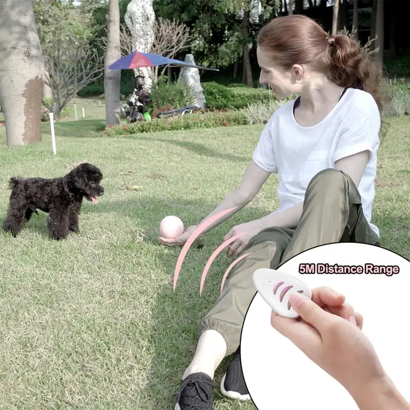 

Pet Interactive Ball Remote Control Cat Toy Pet LED Glowing Motion Ball Toy USB Electric Automatic Flashing Ball For Cats Dogs