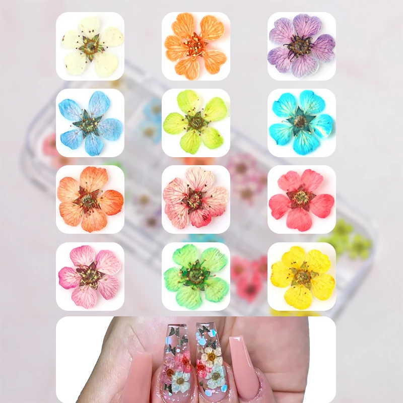 3D Dry Flower Nail Art Decoration Real Mini Dried Blossom Stickers Natural Floral Charms Designs DIY Manicure Nails Accessories