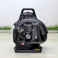 Fiber Snow Blower EB650 Two Stroke 1E48FP Engine Backpack Leaf Blower Garden Power Tools 63.3cc Portable Gasoline Air Blower 1