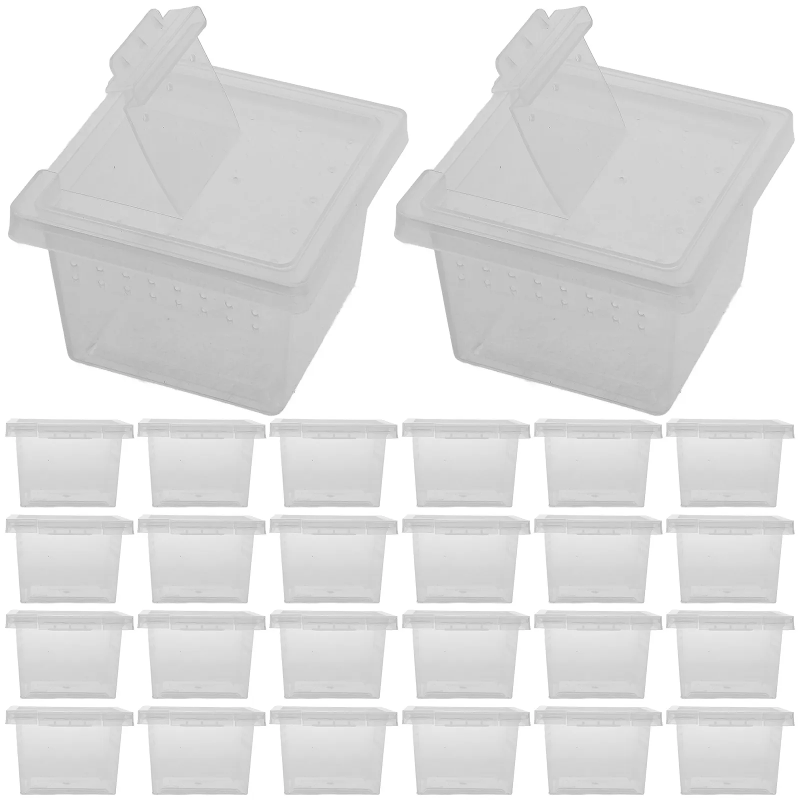 100Pcs 곤충 사육 상자 타란툴라, 개구리벌레, 달팽이, 사마귀, 파충류 사육 상자를 위한 프리미엄 PP 투명 먹이 공급 용기