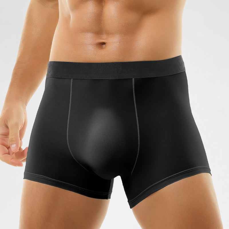 5pc Ice silk underwear men's boxers summer thin breathable boxers sexy transparent boxers short shorts head