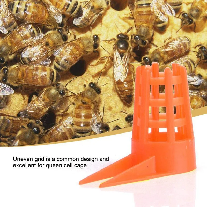 50Pcs Bee Queen Cages Protective Cover Plastic Honeycomb Cages Cell Protection Cap Beekeeping Breeding Supplies