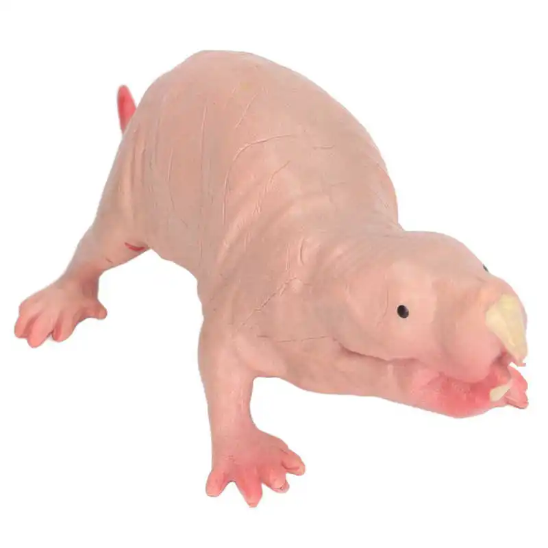 Plastic Mole Figurine Toy Simulation Static Full Core Naked Mole Model for Kids Sand Table Ornaments 5