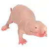 Plastic Mole Figurine Toy Simulation Static Full Core Naked Mole Model for Kids Sand Table Ornaments 5