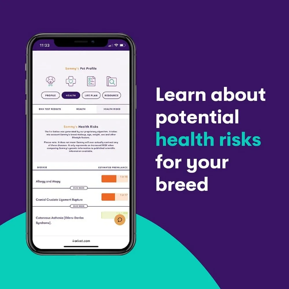 Dog DNA Test Comprehensive Dog Breed Test Kit Genetic Testing and Life Plan GenoPet+ for Canines Pet Strips