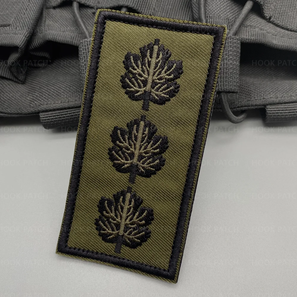 陸軍ランクシェブロン軍曹ストライプイスラエル第 1 ゴラニ旅団パッチ