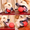 Hard Solid Rubber Balls for Dog Bite Resistant and Indestructible Dog Training Ball Pet Chew Play Fetch Bite Toy TPR Bouncy Ball 2