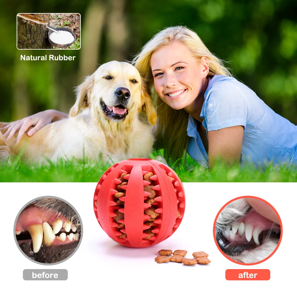 Toys for Dogs Ball Interactive Toys Dog Chew Toys Tooth Cleaning Elasticity  Small Big Dog Toys Rubber Pet Ball Toys