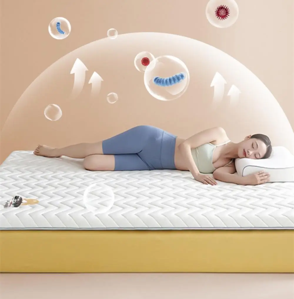 Description Picture 3 of itemDropshipping Customizable Size Mattress Soft Mattress Home Tatami Mat Was The Floor Mat Student ZHA03-47999